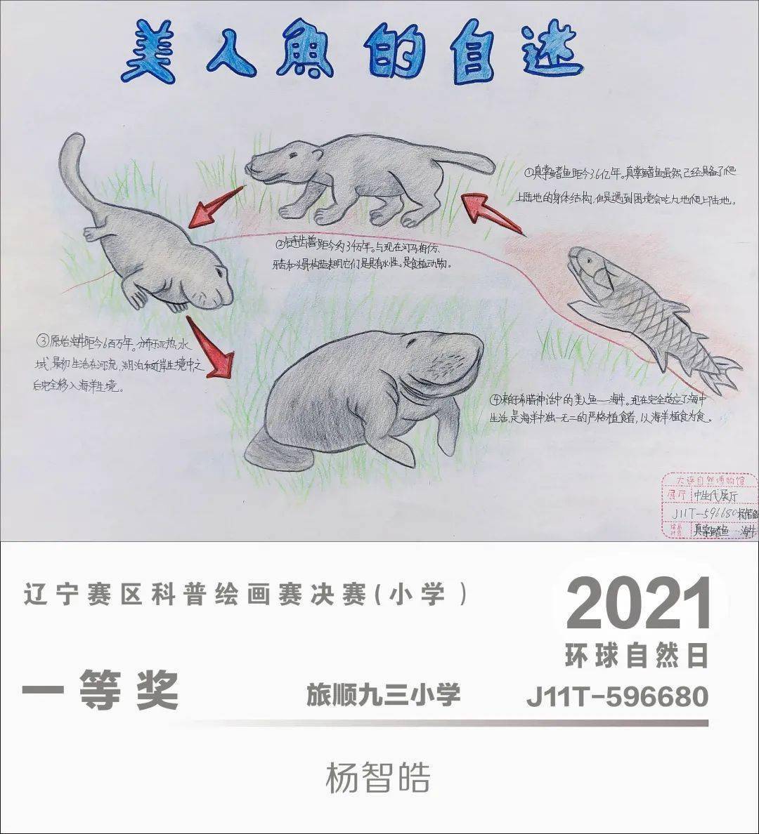 環球自然日2021遼寧賽區科普繪畫賽優秀作品賞析