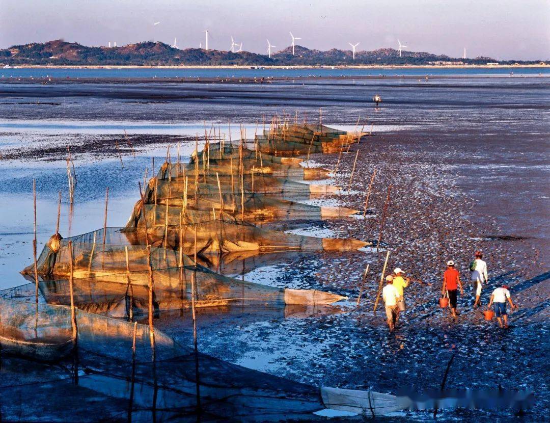 化州南海渔村图片