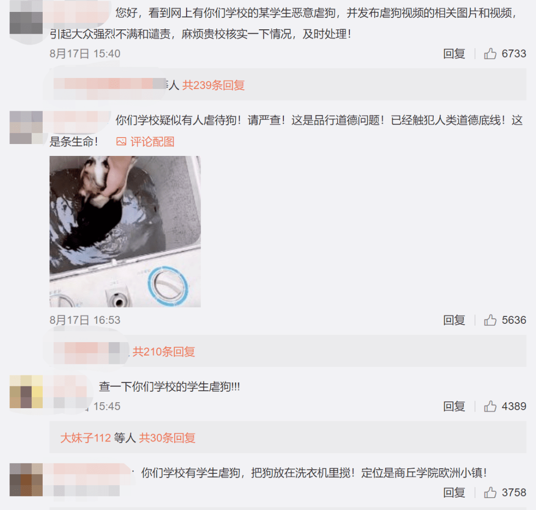 用户|全网都在寻找洗衣机柯基！希望我们还来得及...