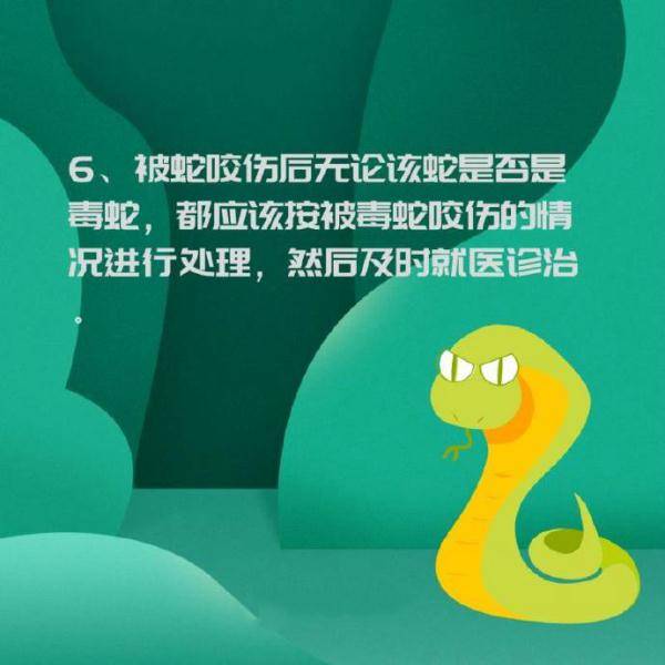 惊险！剧毒眼镜王蛇晚上溜进居民小区！TA们已多次造访