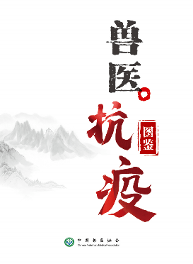 中国兽医日活动火热进行中