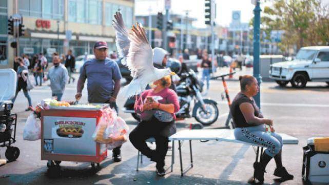 合成|原来，这个美国专家是“合成冠状病毒第一人”