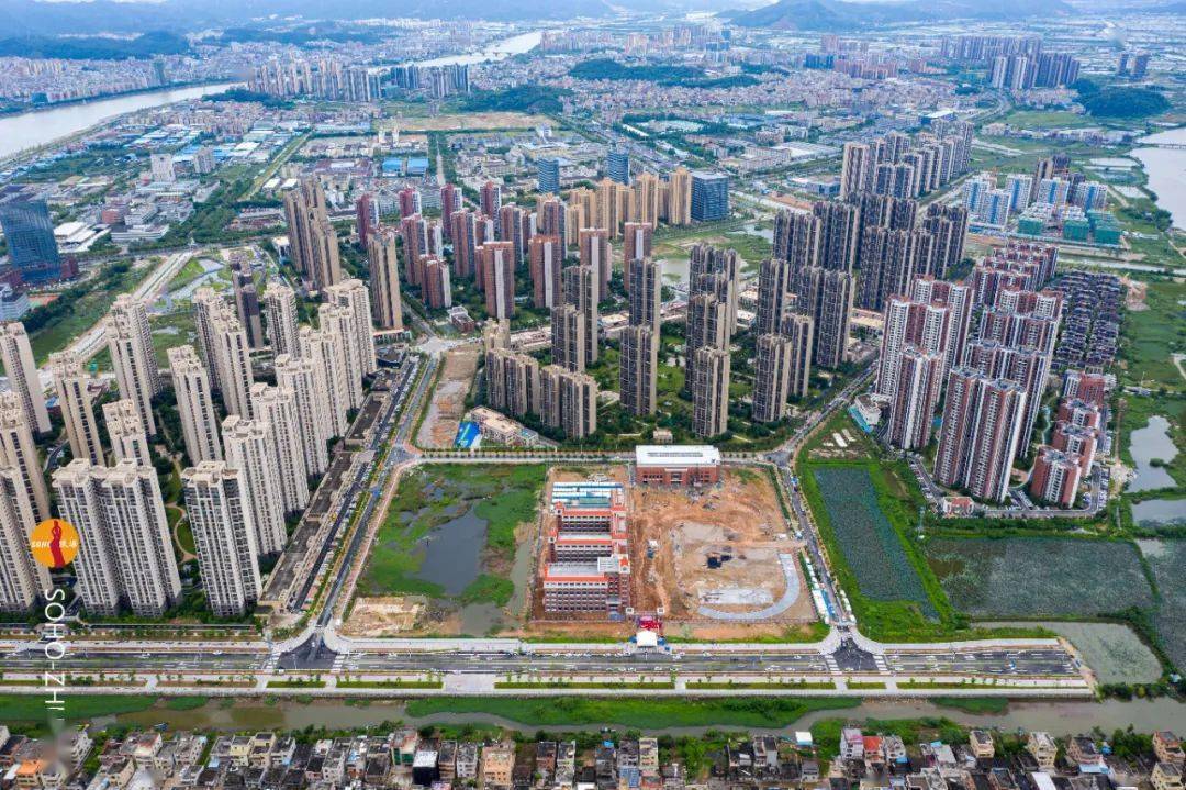 被珠海人遗忘的白蕉终于迎来爆发