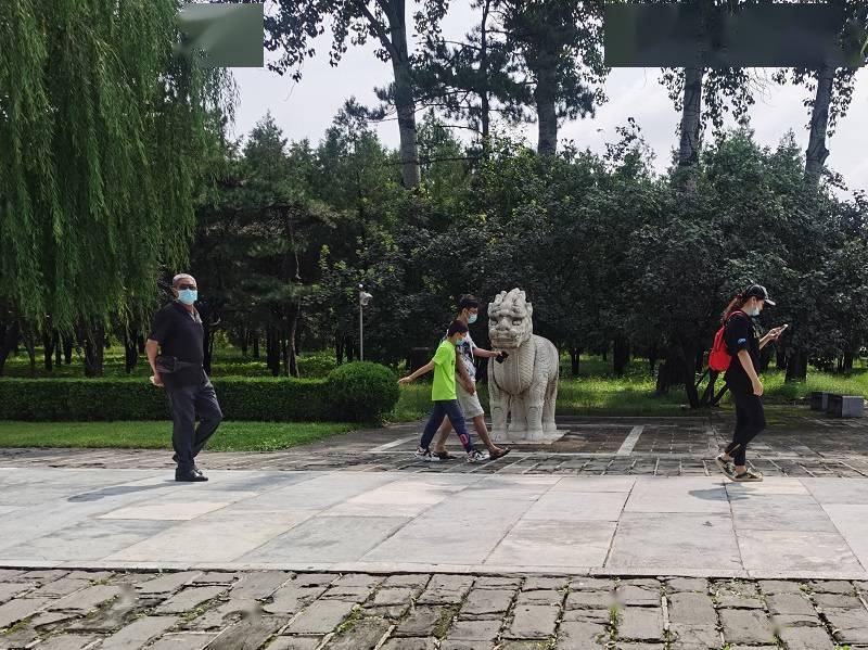 记者探访：《北京市文明行为促进条例》实施一年，昌平做得如何？
