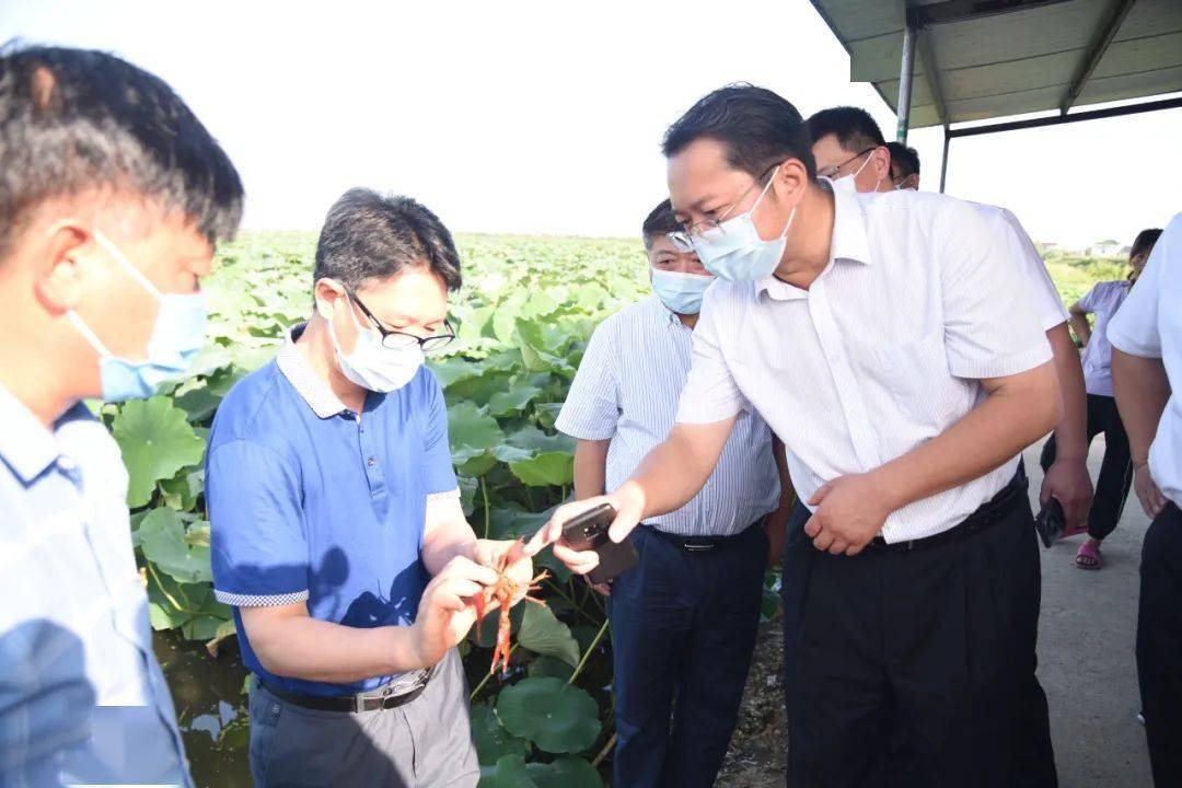 汤成快来兴调研乡村振兴工作