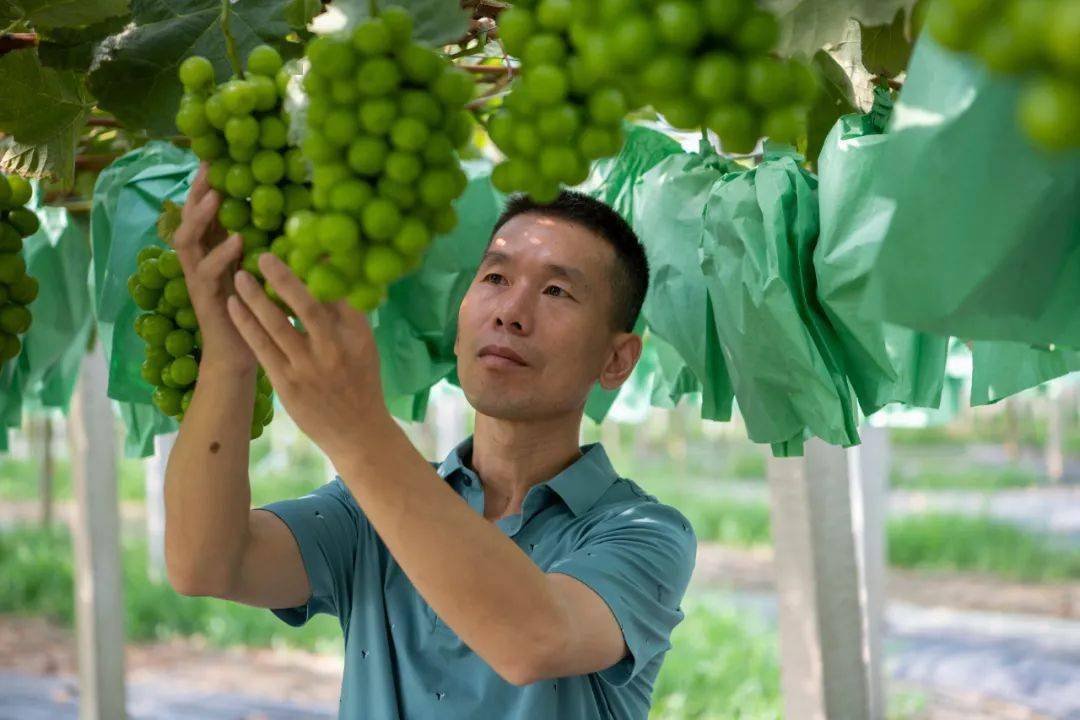 作为一个从农村走出去的成功人士,又回到农村,承包土地搞农业,朱总说