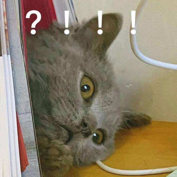 有关|头皮发麻！男子脑内取出6厘米长的活虫，只因每年都吃.....