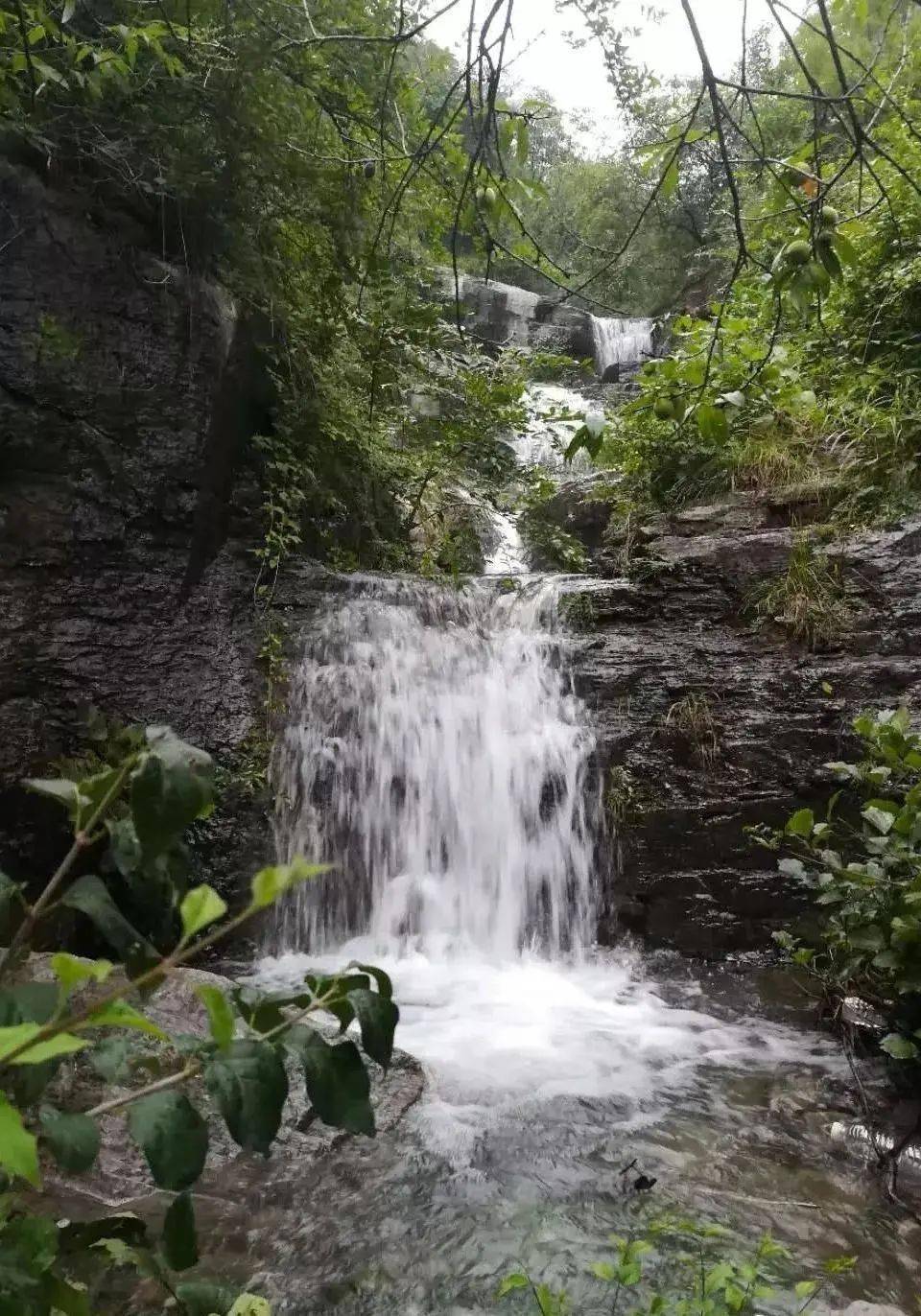 泉水叮咚的简谱_泉水叮咚响简谱(3)