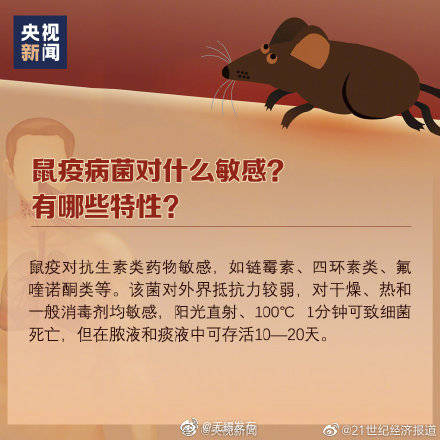疫情|什么是鼠疫、如何预防鼠疫？