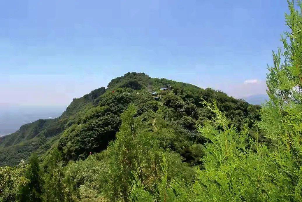 三原嵯峨山森林公园图片