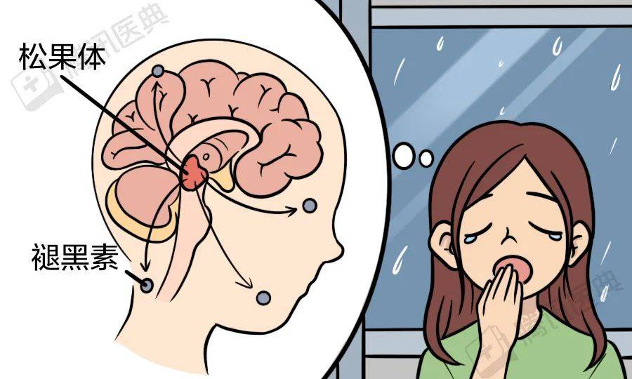 魔法|为什么一下雨就想睡觉？这是大自然给你的“福利”