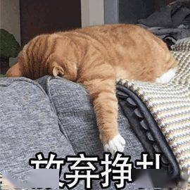 1天100個卷腹，一個月後身體發生了神奇的變化！ 健身減肥達人 第2张