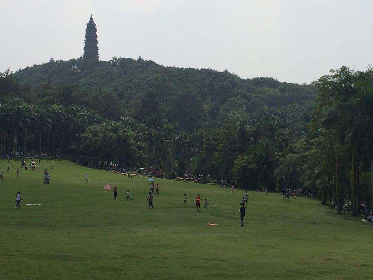 南宁21年gdp_1季度南宁均价破1.3万,江南区这6盘凭什么也卖1.3万(2)