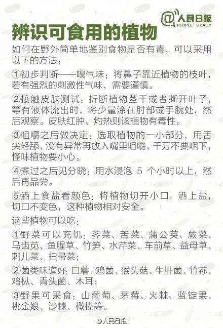 采药简谱_采药姑娘上山来 对照