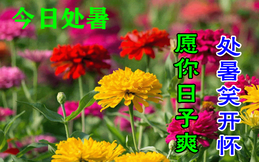 8月23日处暑最漂亮早上好动态表情图片大全,早晨好动图美图大全_祝福