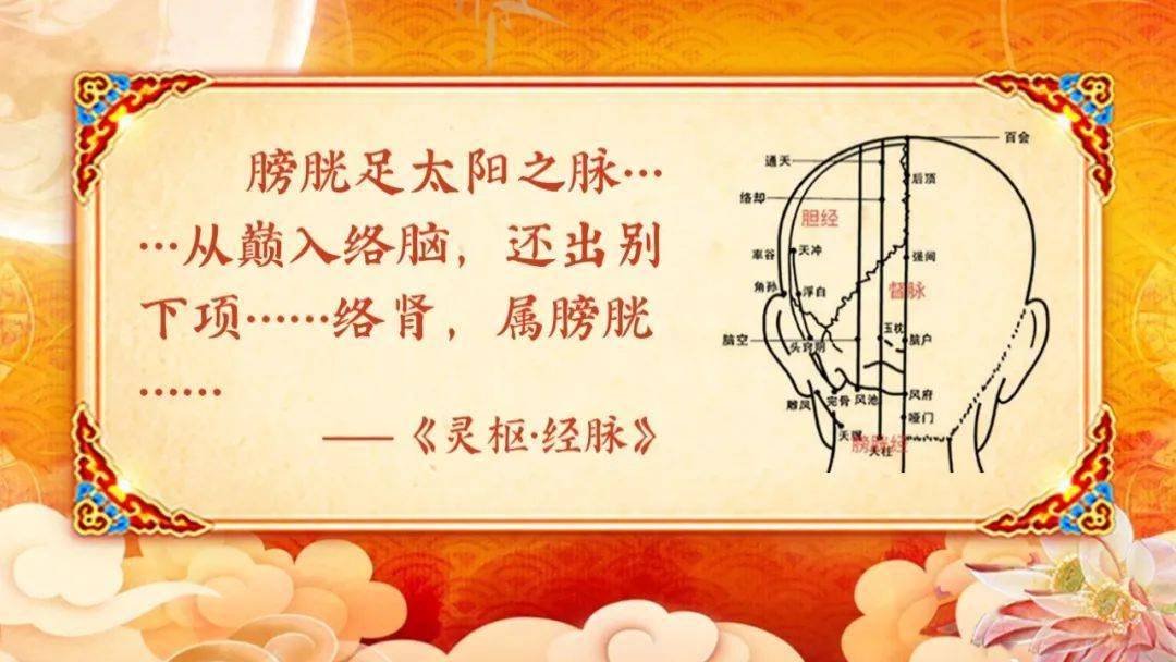 广安门|广安门医院呼吸科专家团队做客《养生堂》