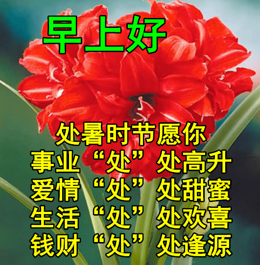 8月23日处暑最漂亮早上好动态表情图片大全早晨好动图美图大全