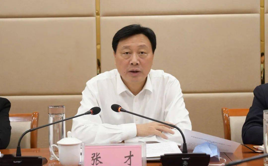 市领导张才同志参加市人代会磁县代表团审议