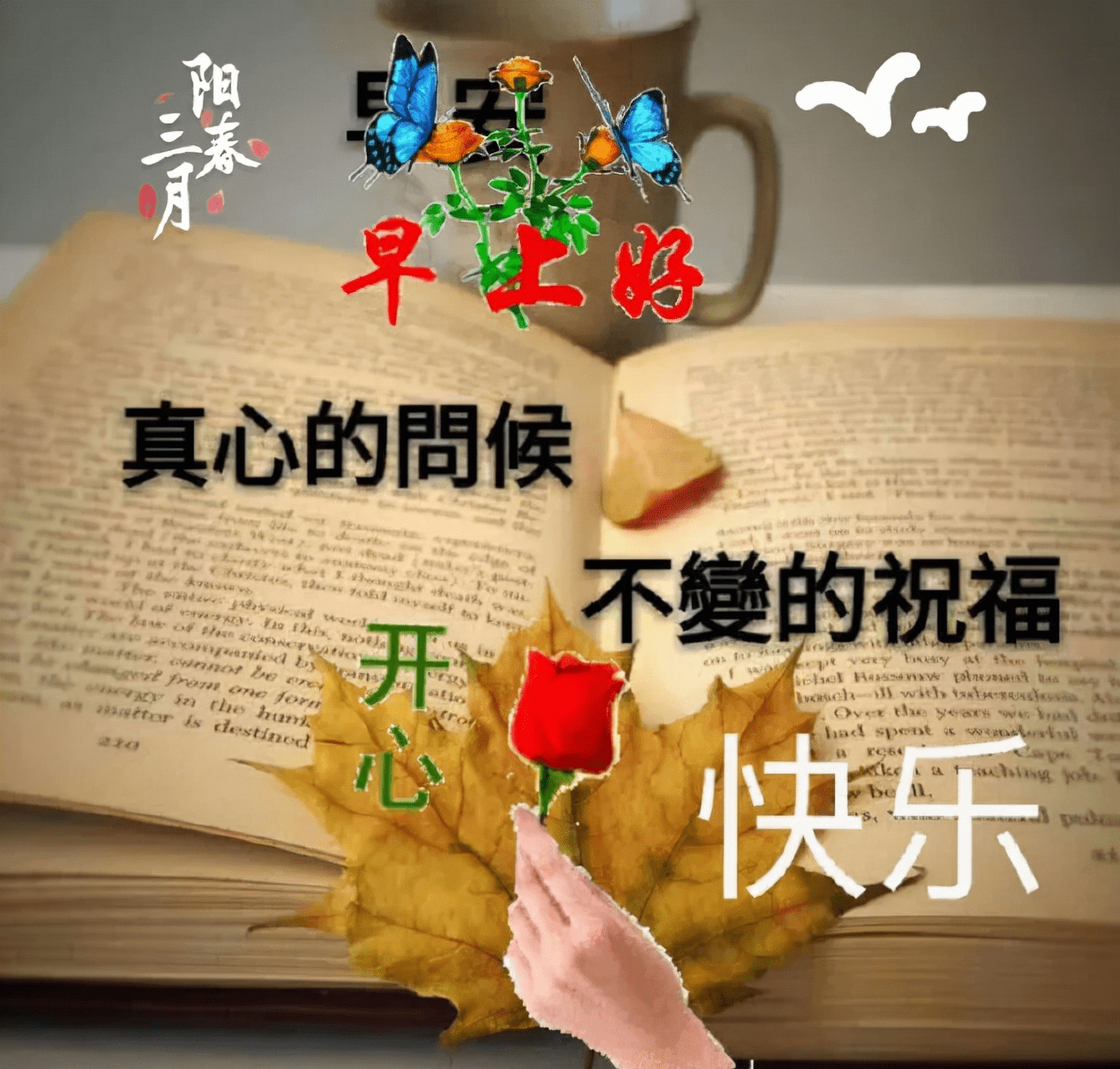 95208d8396b6455c9dcb0cb18cc3be19.png
