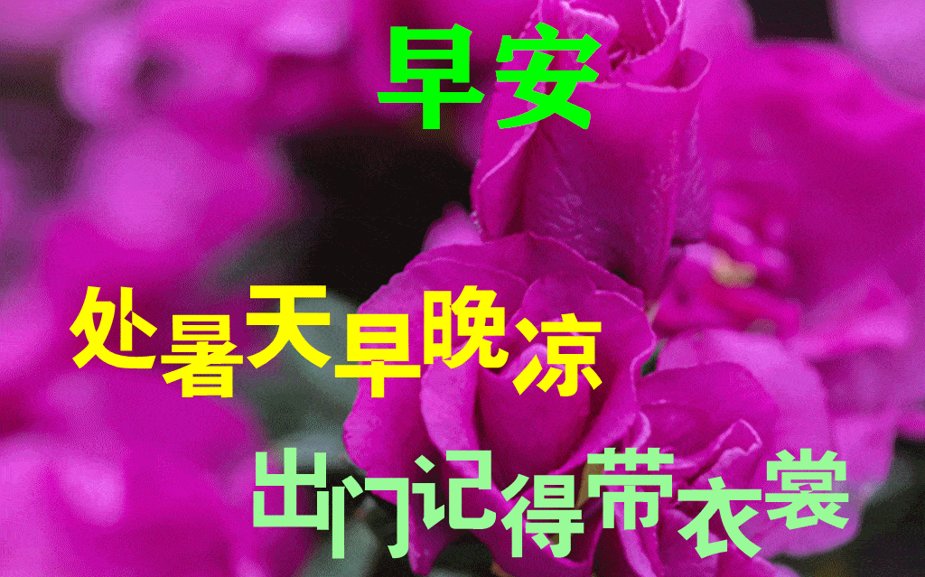 桌面免费动态好看壁纸 f7ae6980866a41a2ae37cd6032492c3b.gif
