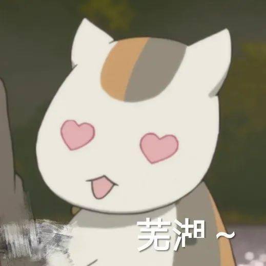 超可爱猫咪老师表情包,芜湖~开心到起飞
