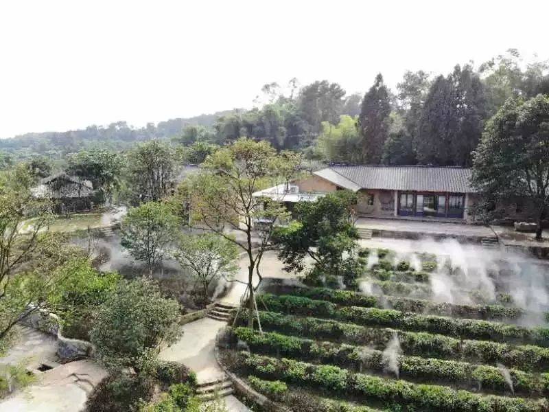 一定是上帝打翻了调色盘初秋的云林天乡才会如此惊艳