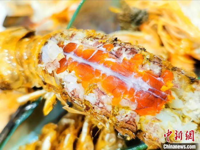 南海开渔后会"濑尿"的虾在广东侨乡台山备受青睐