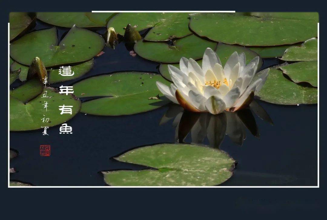 人生幸福的三大法宝惜缘知福懂爱