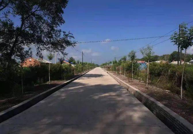 讷河市长发镇开展街长制塘长制试点 推进村庄清洁长效管理