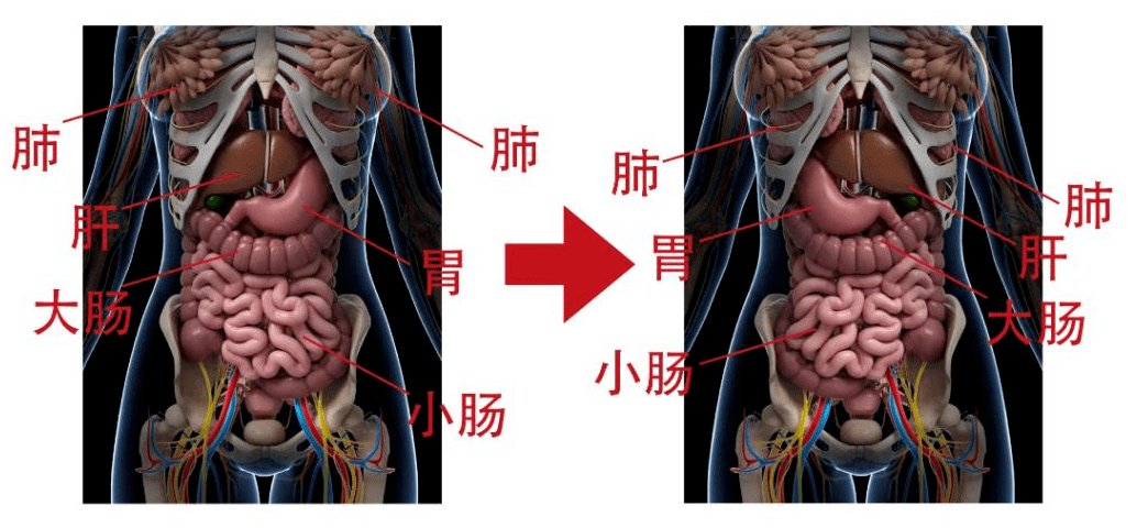 影視劇當中,主角左胸中刀,中槍常因心臟長在右邊,幸運地躲過致命一擊.