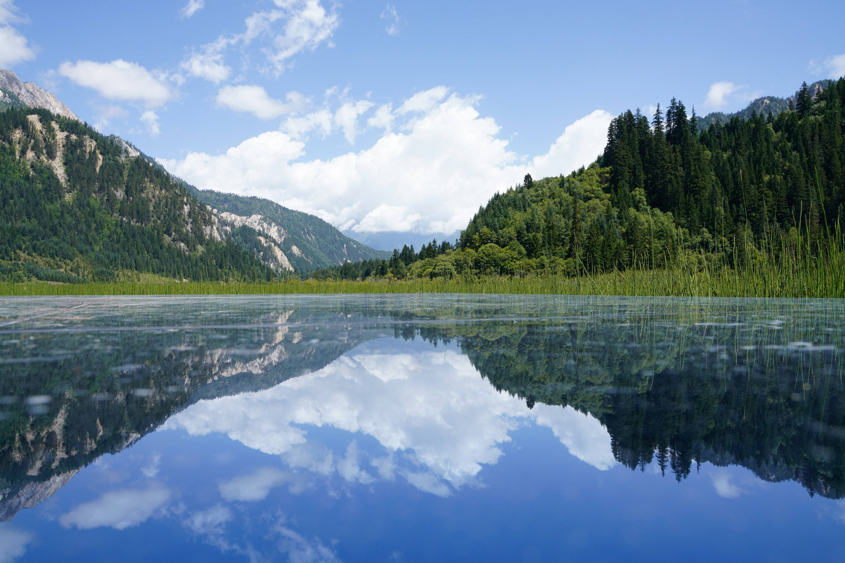 九寨沟秋韵_景区