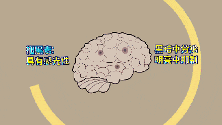 催眠曲|为什么下雨天好睡觉？