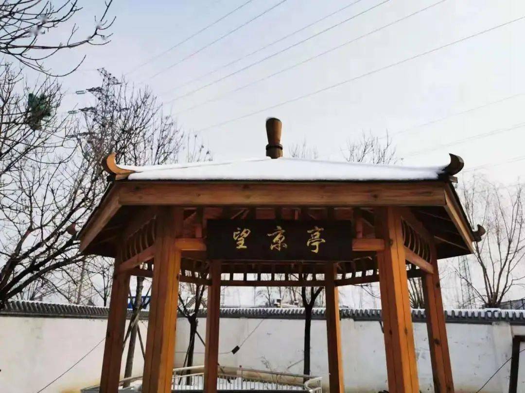 文章配图-23