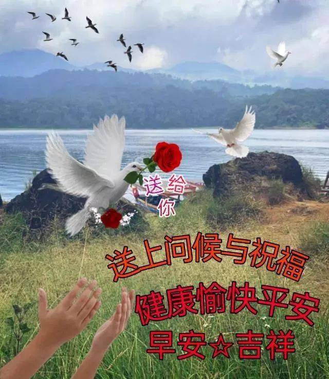 最新早上好表情圖片大全早安祝福動態圖片問候語