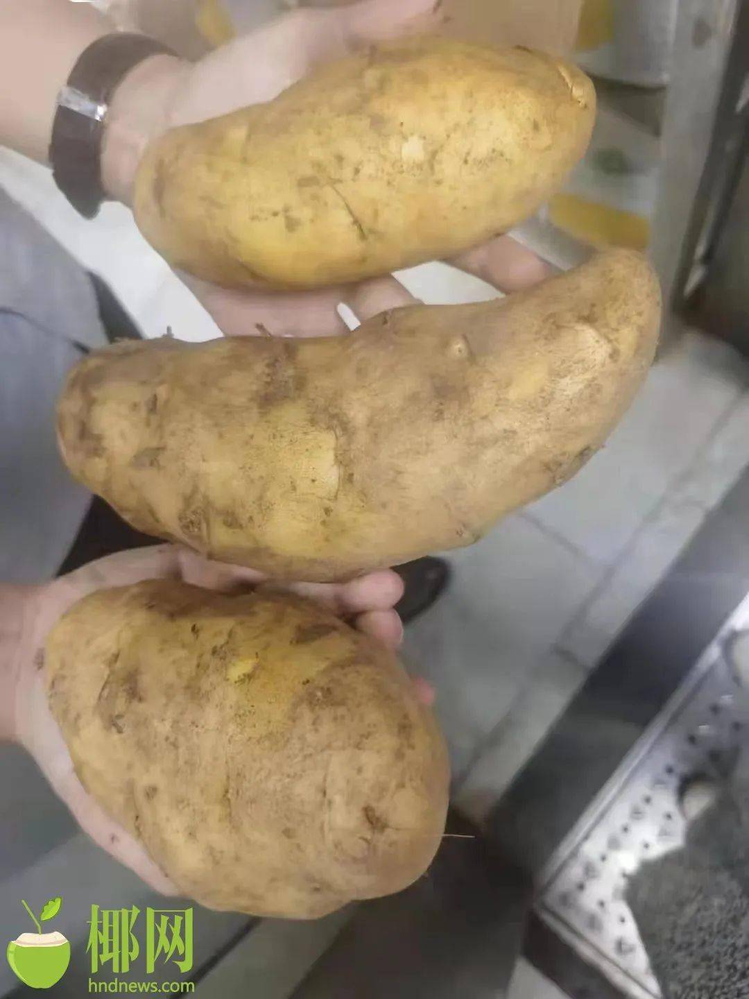 ce7ab2630f274f76bec72a70130f0f36.jpeg