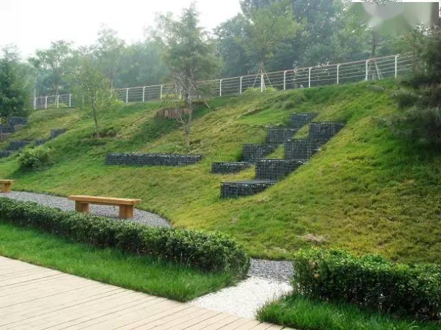 软景微地形植物配置护坡