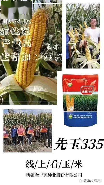 4ea65e4462d84548b6fc6ecabdb2ca82.jpeg