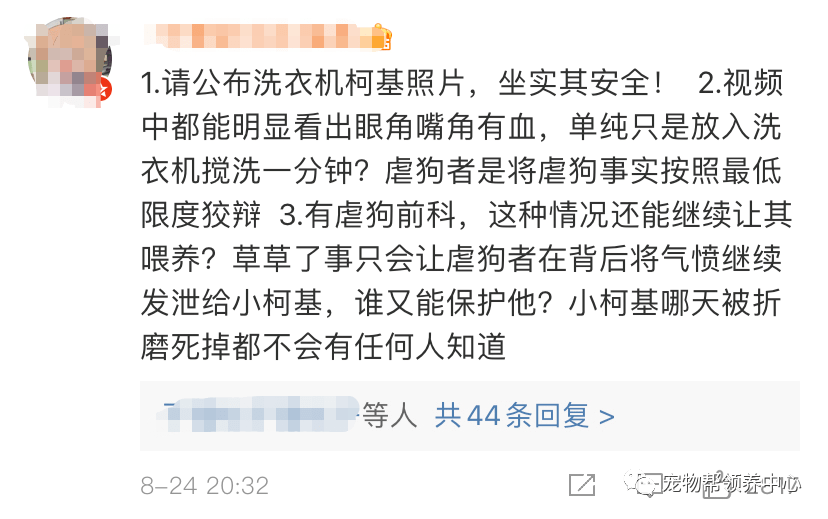 李某阳|洗衣机柯基终于找到,还活着!可还是留给了施虐者养……