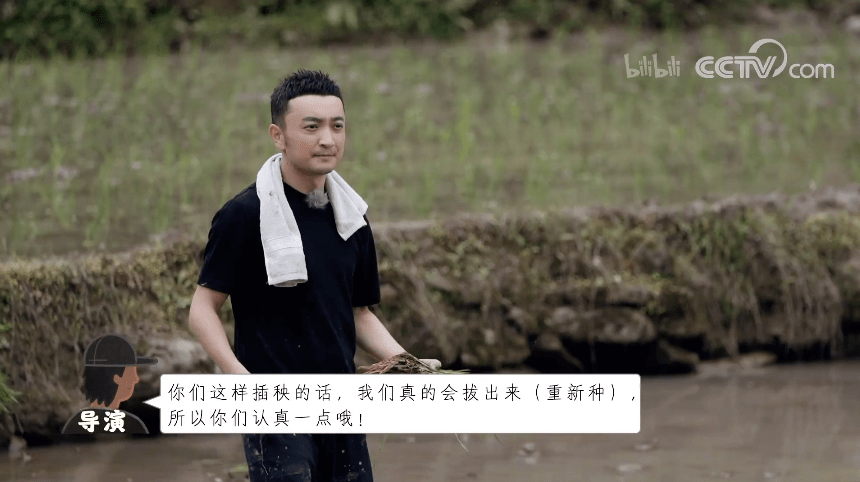 油漆|顶级天团一出手，8月国综都黯然失色