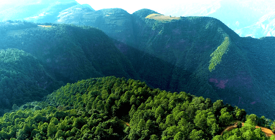 万松山林区