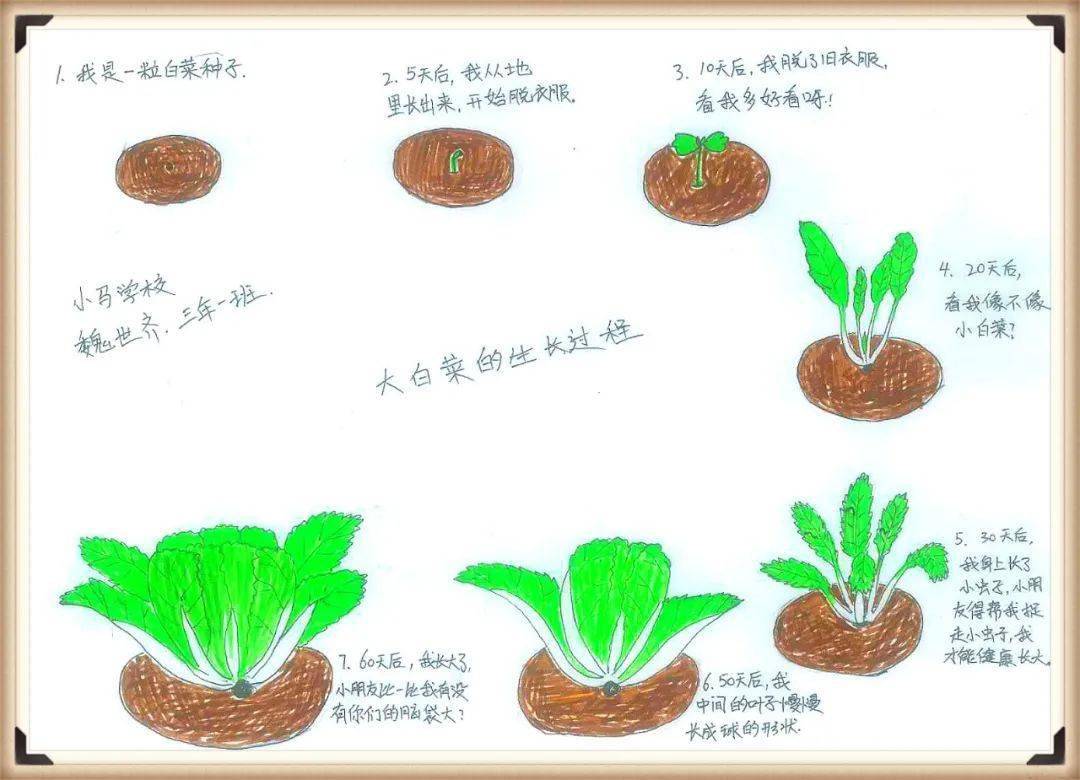 自然笔记简单易画图片