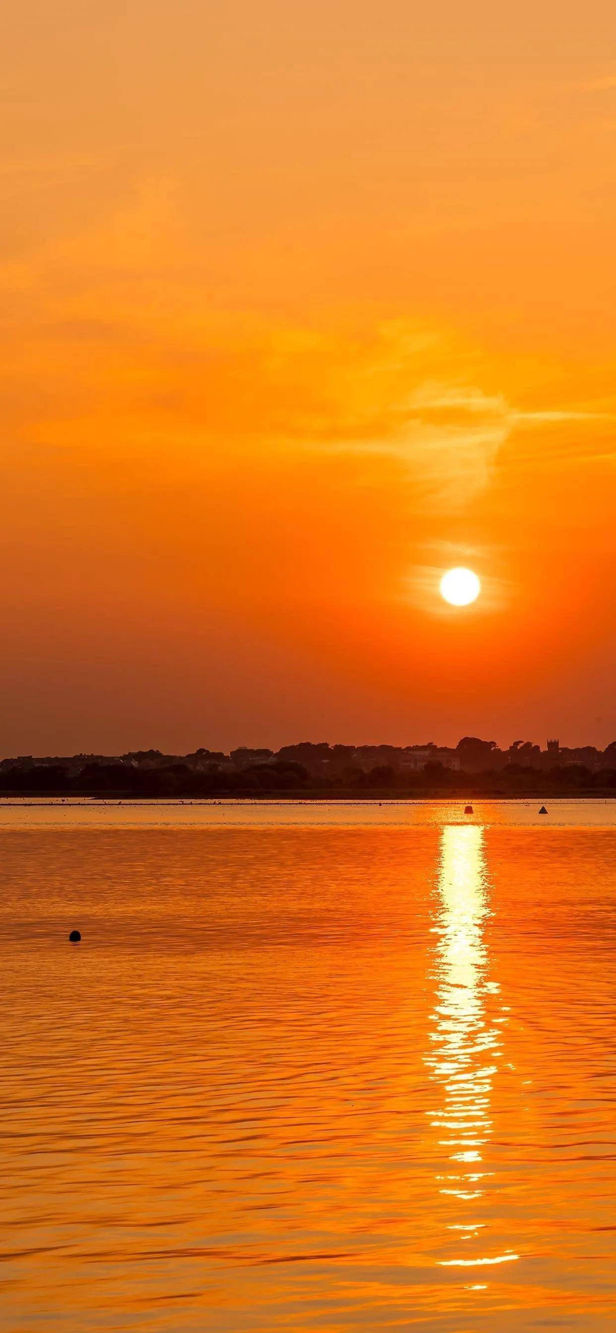 橙色满满有活力