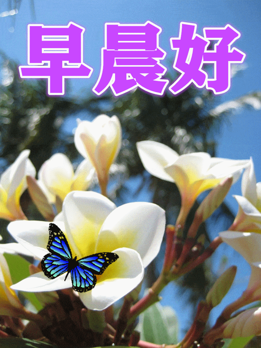 8月26日最漂亮早上好动态表情图片大全早上好动图美图大全