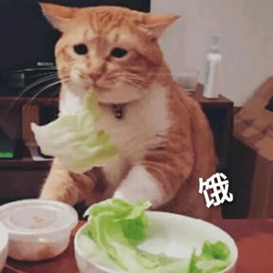 疫情|许昌、周口、平顶山…河南多地全面恢复！