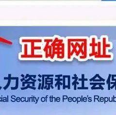 假的!假的!都是假的!_网站