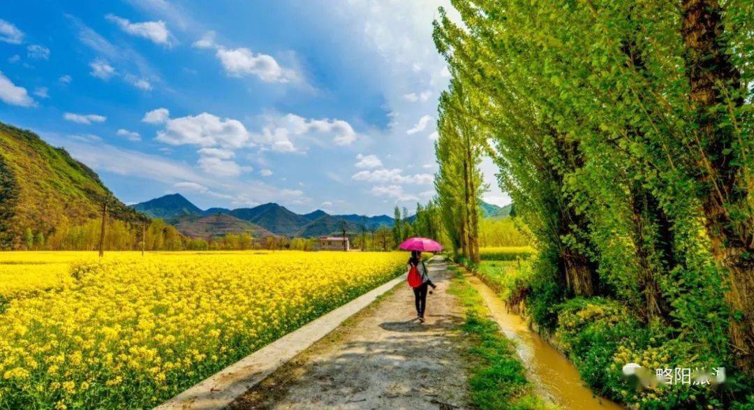 霧氣騰騰,層林盡染,紅葉似火,水墨山色,如詩如畫……略陽全景略陽嘉陵