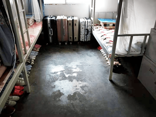 家门口的好学校 ‖初中篇——隆昌市知行中学