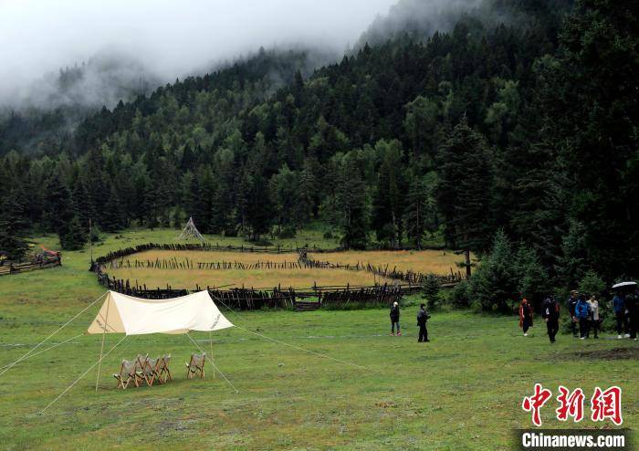 纳咪|四川松潘县：新业态带“活”乡村旅游 “火”了村庄富了村民