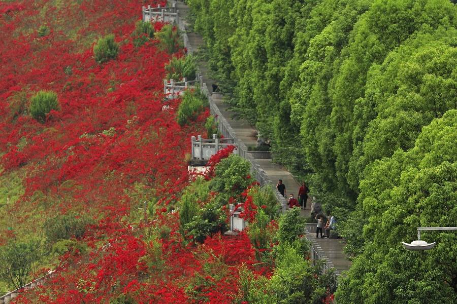 夜景|彭水：一年四季美如画 两江四岸起风景