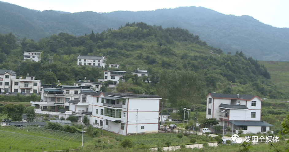罗田县骆驼坳镇叶家圈村产业兴旺后劲足乡村振兴展新颜